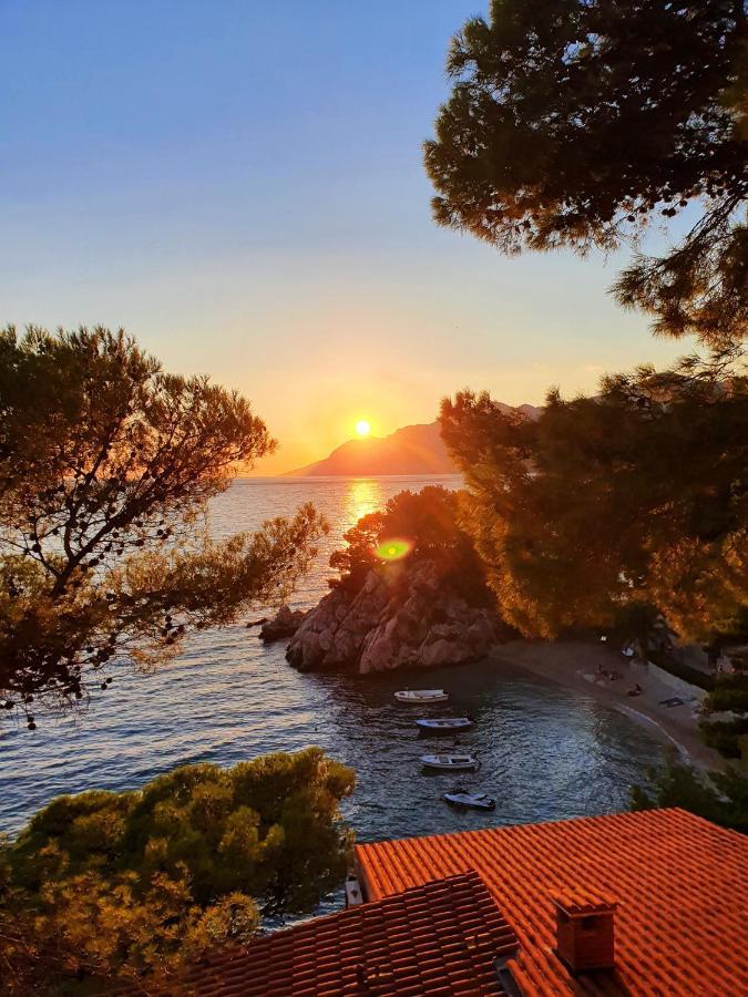 Seaview Apartment Sveti Filip i Jakov Ngoại thất bức ảnh
